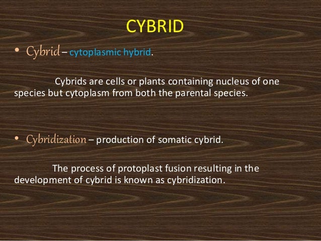kybrid cny