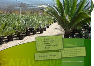 Catalogue
  CYCADS
      Cycas
      Ceratozamia
      Dioon               CITES Approved fo
                                            r
      Encephalartos       Commercial Ex ports

       Zamia




  BOABS
                                      ium landscape
                       We supply prem
                                      s and Boabs to
                       feature Cycad
                                        ape projects
                        top end landsc
                orii           Australia wide
  Adansonia greg



ALOGUE
 