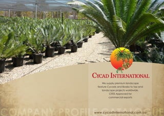 We supply premium landscape
              feature Cycads and Boabs to top end
                 landscape projects worldwide.
                       CITES Approved for
                       commercial exports




COMPANY PROFILE CATALOGUE
 