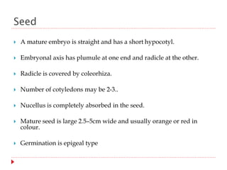 Seed
 A mature embryo is straight and has a short hypocotyl.
 Embryonal axis has plumule at one end and radicle at the other.
 Radicle is covered by coleorhiza.
 Number of cotyledons may be 2-3..
 Nucellus is completely absorbed in the seed.
 Mature seed is large 2.5–5cm wide and usually orange or red in
colour.
 Germination is epigeal type
 