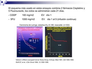 El esquema más usado en estos ensayos combina 2 fármacos Cisplatino y
5 Fluorouracilo, los ciclos se administran cada 21 días.
- CDDP 100 mg/m2 EV día 1
- 5FU 1000 mg/m2 EV dia 1 al 5 (infusión continua)
Carcinoma de Laringe, estadíos III y IV, M0, resecable (n=332)
Veteran´s Affairs Laryngeal Cancer Study Group. N Engl J Med 1991; 324:1685-1690.
Wolf GT, et al. J Clin Oncol 1994; 12:1592-1599.
 