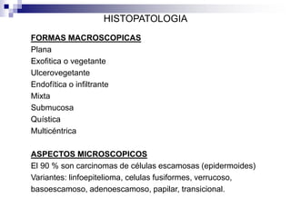 HISTOPATOLOGIA
FORMAS MACROSCOPICAS
Plana
Exofitica o vegetante
Ulcerovegetante
Endofítica o infiltrante
Mixta
Submucosa
Quística
Multicéntrica
ASPECTOS MICROSCOPICOS
El 90 % son carcinomas de células escamosas (epidermoides)
Variantes: linfoepitelioma, celulas fusiformes, verrucoso,
basoescamoso, adenoescamoso, papilar, transicional.
 