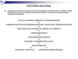 HISTORIA NATURAL
 Sucesión de eventos clínicos que ocurren durante la relación tumor huésped desde
la formación del tumor hasta la muerte del enfermo, sin que intervenga ninguna
maniobra terapéutica.
EPITELIO NORMAL SOMETIDO A CARCINÓGENOS

CAMBIOS ADAPTATIVOS (HIPERQUERATOSIS, ACANTOSIS, PARAQUERATOSIS)

DISPLASIA QUE VA DESDE EL GRADO I AL GRADO III

CARCINOMA INSITU

CARCINOMA INFILTRANTE

INVASIÓN Y DISEMINACIÓN LOCAL

METASTIZACION
 
REGIONAL (LINFÁTICA) A DISTANCIA (HEMATÓGENA)
 