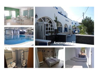 Anemones 3*
 