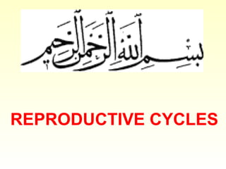 REPRODUCTIVE CYCLES
 