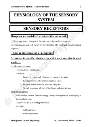 [Pdf] Anatomy And Physiology Of Sensory Systems – THMORC