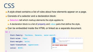 Comprehensive Grade 7 Web Design Course: HTML & CSS Fundamentals | PPTX