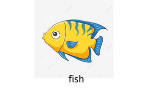 fish
 
