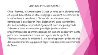 APPLICATION MEDICALE
Chez l'homme, le chromosome 21 est un très petit chromosome
et le plus susceptible d'être « négligé » au point de contrôle de
la métaphase / anaphase. L'échec de ces chromosomes
homologues à se séparer (non-disjonction) dans la première
division méiotique se produit également avec une plus grande
fréquence dans les ovocytes plus âgés (ou les cellules
progénitrices des spermatozoïdes). Un gamète conservant cette
paire de chromosomes forme un zygote viable après la
fécondation, mais la trisomie 21 en développement présente des
déficiences morphologiques et cognitives associées au syndrome
de Down.
 