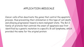 APPLICATION MEDICALE
Cancer cells often deactivate the genes that control the apoptotic
process, thus preventing their elimination in this type of cell death
and allowing progression toward a more malignant state. The Bcl-2
family of proteins that controls the onset of apoptosis was first
identified by a genetic mutation in a specific B-cell lymphoma, which
provided the name for the original protein
 