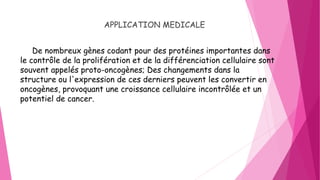 APPLICATION MEDICALE
De nombreux gènes codant pour des protéines importantes dans
le contrôle de la prolifération et de la différenciation cellulaire sont
souvent appelés proto-oncogènes; Des changements dans la
structure ou l'expression de ces derniers peuvent les convertir en
oncogènes, provoquant une croissance cellulaire incontrôlée et un
potentiel de cancer.
 