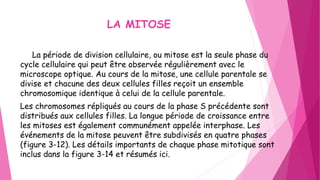 LA MITOSE
La période de division cellulaire, ou mitose est la seule phase du
cycle cellulaire qui peut être observée régulièrement avec le
microscope optique. Au cours de la mitose, une cellule parentale se
divise et chacune des deux cellules filles reçoit un ensemble
chromosomique identique à celui de la cellule parentale.
Les chromosomes répliqués au cours de la phase S précédente sont
distribués aux cellules filles. La longue période de croissance entre
les mitoses est également communément appelée interphase. Les
événements de la mitose peuvent être subdivisés en quatre phases
(figure 3-12). Les détails importants de chaque phase mitotique sont
inclus dans la figure 3-14 et résumés ici.
 