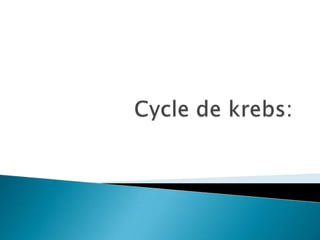 Cycle de krebs: 
