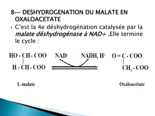 8–- DESHYDROGENATION DU MALATE EN OXALOACETATEC’est la 4e déshydrogénation catalysée par la malate déshydrogénase à NAD+ .Elle termine le cycle :
