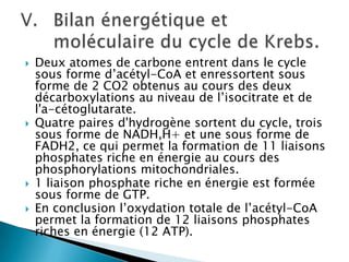 Deux atomes de carbone entrent dans le cycle sous forme d’acétyl-CoA et enressortentsous forme de 2 CO2 obtenus au cours des deux décarboxylations au niveau de l’isocitrate et de l'a-cétoglutarate.Quatre paires d'hydrogène sortent du cycle, trois sous forme de NADH,H+ et une sous forme de FADH2, ce qui permet la formation de 11 liaisons phosphates riche en énergie au cours des phosphorylations mitochondriales.1 liaison phosphate riche en énergie est formée sous forme de GTP.En conclusion l’oxydation totale de l’acétyl-CoA permet la formation de 12 liaisons phosphates riches en énergie (12 ATP).Bilan énergétique et moléculaire du cycle de Krebs. 