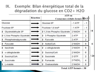 Exemple:Bilan énergétique total de la dégradation du glucose en CO2+ H2O 
