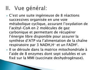 C’est une suite ingénieuse de 8 réactions successives organisée en une voie métabolique cyclique, assurant l’oxydation de l’acétyl-CoA en 2 molécules de gaz carbonique et permettant de récupérer l’énergie libre disponible pour assurer la synthèse d’ATP via l’alimentation de la chaîne respiratoire par 3 NADH,H+ et un FADH2. Il se déroule dans la matrice mitochondriale à l’aide de 8 enzymes dont sept solubles et un fixé sur la MMI (succinatedeshydrogènase). Vue général: