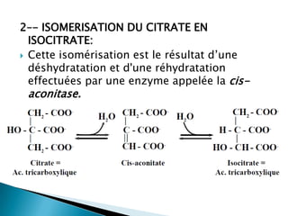 2–- ISOMERISATION DU CITRATE EN ISOCITRATE:Cette isomérisation est le résultat d’une déshydratation et d'une réhydratation effectuées par une enzyme appelée la cis-aconitase.