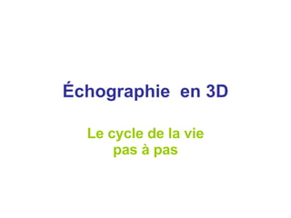Échographie  en 3D Le cycle de la vie pas à pas 