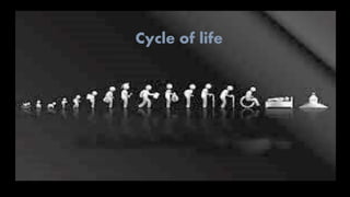 Cycle of life
 