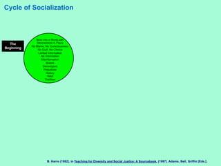 Cycle of Socialization | PDF