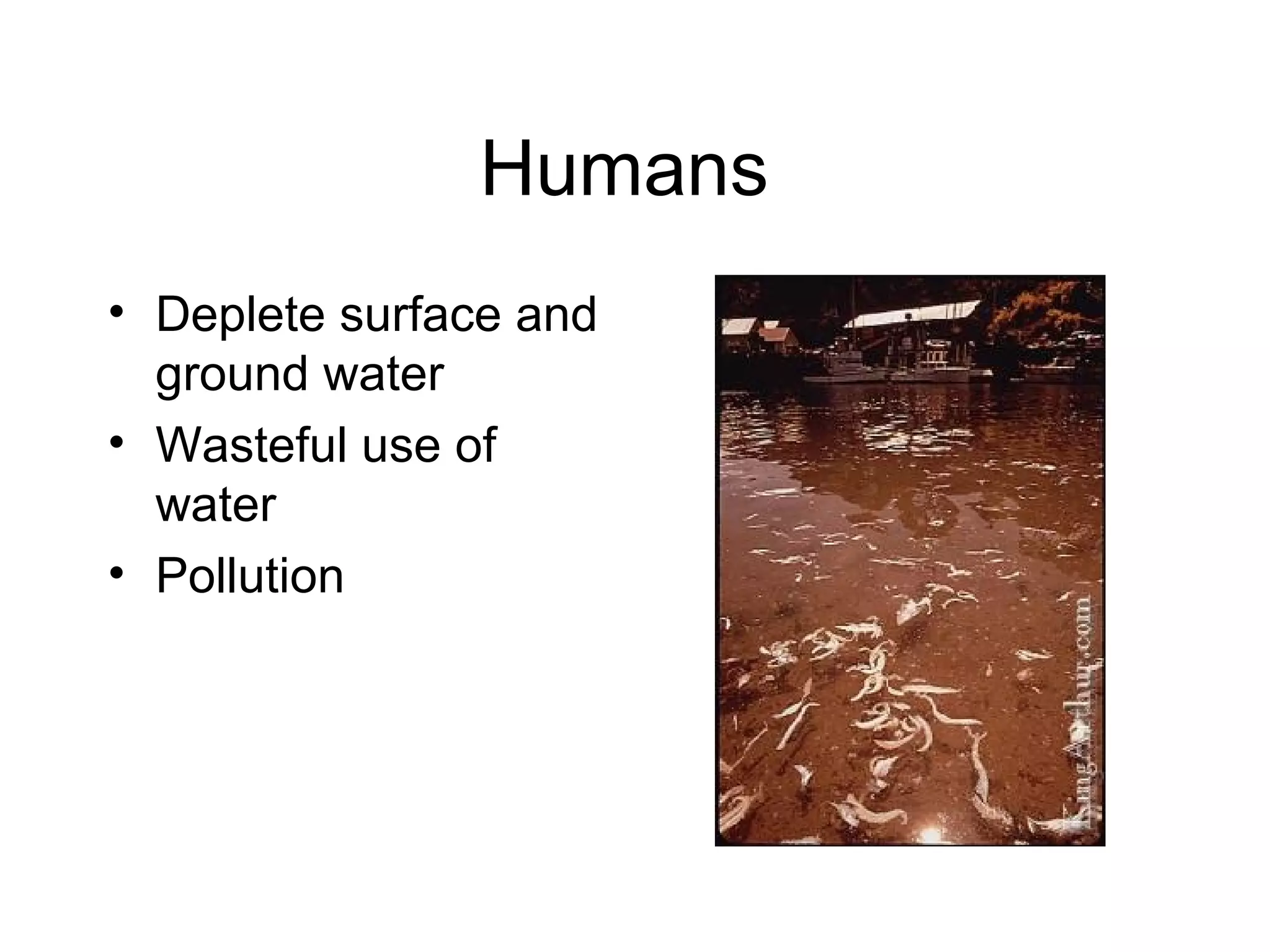 Humans  Deplete surface and ground water Wasteful use of water Pollution  