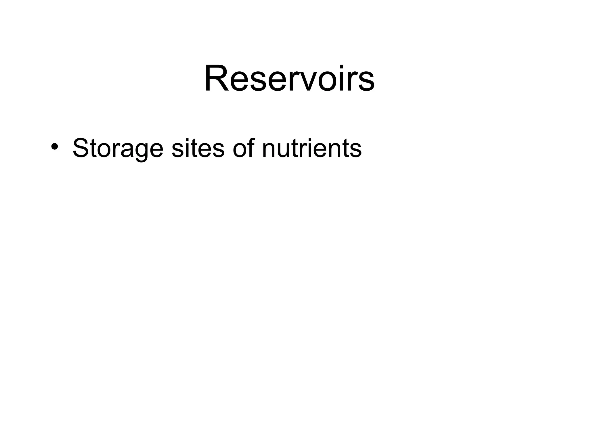 Reservoirs  Storage sites of nutrients 