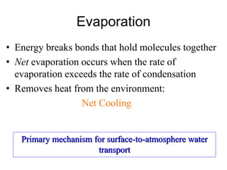 Evaporation
• Energy breaks bonds that hold molecules together
• Net evaporation occurs when the rate of
evaporation exceeds the rate of condensation
• Removes heat from the environment:
Net Cooling
Primary mechanism for surface-to-atmosphere water
transport
 