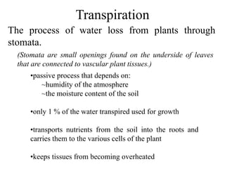 The process of water loss from plants through
stomata.
•passive process that depends on:
~humidity of the atmosphere
~the moisture content of the soil
•only 1 % of the water transpired used for growth
•transports nutrients from the soil into the roots and
carries them to the various cells of the plant
•keeps tissues from becoming overheated
(Stomata are small openings found on the underside of leaves
that are connected to vascular plant tissues.)
Transpiration
 