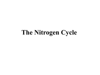 The Nitrogen Cycle
 