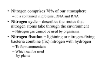 • Nitrogen comprises 78% of our atmosphere
– It is contained in proteins, DNA and RNA
• Nitrogen cycle = describes the routes that
nitrogen atoms take through the environment
– Nitrogen gas cannot be used by organisms
• Nitrogen fixation = lightning or nitrogen-fixing
bacteria combine (fix) nitrogen with hydrogen
– To form ammonium
– Which can be used
by plants
 