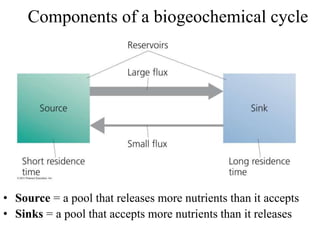 Components of a biogeochemical cycle
• Source = a pool that releases more nutrients than it accepts
• Sinks = a pool that accepts more nutrients than it releases
 