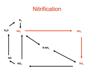 Nitrification
R-NH2
NH4 NO2
NO3NO2
NO
N2O
N2
 