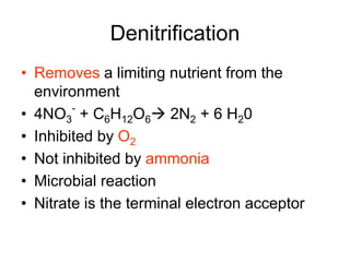 Denitrification
• Removes a limiting nutrient from the
environment
• 4NO3
-
+ C6H12O6 2N2 + 6 H20
• Inhibited by O2
• Not inhibited by ammonia
• Microbial reaction
• Nitrate is the terminal electron acceptor
 