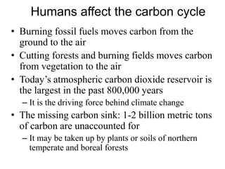 Humans affect the carbon cycle
• Burning fossil fuels moves carbon from the
ground to the air
• Cutting forests and burning fields moves carbon
from vegetation to the air
• Today’s atmospheric carbon dioxide reservoir is
the largest in the past 800,000 years
– It is the driving force behind climate change
• The missing carbon sink: 1-2 billion metric tons
of carbon are unaccounted for
– It may be taken up by plants or soils of northern
temperate and boreal forests
 