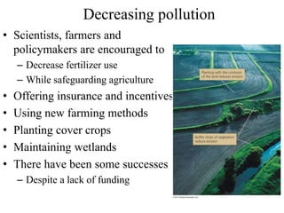 Decreasing pollution
• Scientists, farmers and
policymakers are encouraged to
– Decrease fertilizer use
– While safeguarding agriculture
• Offering insurance and incentives
• Using new farming methods
• Planting cover crops
• Maintaining wetlands
• There have been some successes
– Despite a lack of funding
 