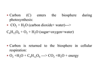  Carbon (C) enters the biosphere during
photosynthesis:
 CO2 + H2O (carbon dioxide+ water)--->
C6H12O6 + O2 + H2O (sugar+oxygen+water)
 Carbon is returned to the biosphere in cellular
respiration:
 O2 +H2O + C6H12O6 ---> CO2 +H2O + energy
 