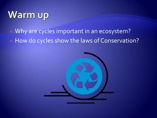 Warm up Why are cycles important in an ecosystem? How do cycles show the laws of Conservation? 