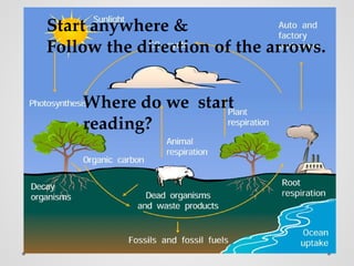 Cycles in Ecosystem - How organisms and nutrients move in ecosystems | PPTX