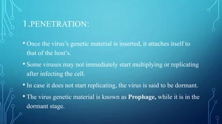 1.PENETRATION:
• Once the virus’s genetic material is inserted, it attaches itself to
that of the host’s.
• Some viruses may not immediately start multiplying or replicating
after infecting the cell.
• In case it does not start replicating, the virus is said to be dormant.
• The virus genetic material is known as Prophage, while it is in the
dormant stage.
 