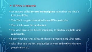  If RNA is injected:
• An enzyme called reverse transcriptase transcribes the virus’s
RNA into DNA.
• This DNA is again transcribed into mRNA molecules.
• Thus it take over the mechanism.
• The virus takes over the cell machinery to produce multiple viral
components.
• Simply put the virus infects the host to produce more virus parts.
• Also virus puts the host nucleotides to work and replicate its own
genetic material.
 