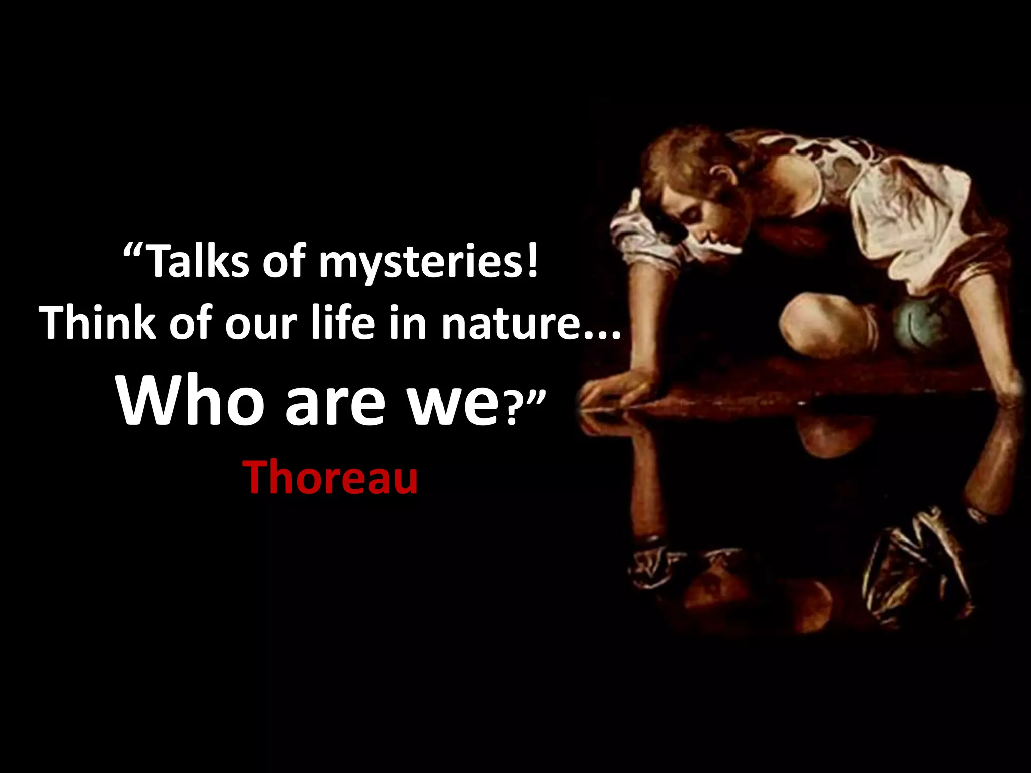 Cycles of development
Stage 3
 