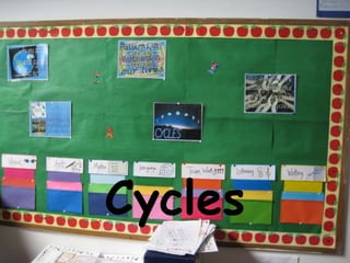 Cycles 