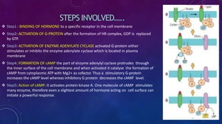 STEPS INVOLVED…..
 Step1 : BINDING OF HORMONE to a specific receptor in the cell membrane
 Step2: ACTIVATION OF G-PROTEIN after the formation of HR complex, GDP is replaced
by GTP.
 Step3: ACTIVATION OF ENZYME ADENYLATE CYCLASE activated G-protein either
stimulates or inhibits the enzyme adenylate cyclase which is located in plasma
membrane
 Step4: FORMATION OF cAMP the part of enzyme adenylyl cyclase protrudes through
the inner surface of the cell membrane and when activated it catalyse the formation of
cAMP from cytoplasmic ATP with Mg2+ as cofactor. Thus a stimulatory G-protein
increases the cAMP level whereas inhibitory G protein decreases the cAMP level.
 Step5: Action of cAMP: it activates protein kinase A. One molecule of cAMP stimulates
many enzyme, therefore even a slightest amount of hormone acting on cell surface can
initiate a powerful response.
 