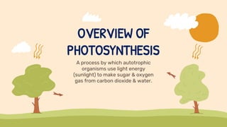 OVERVIEW OF
PHOTOSYNTHESIS
A process by which autotrophic
organisms use light energy
(sunlight) to make sugar & oxygen
gas from carbon dioxide & water.
 