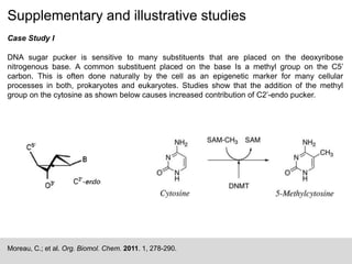 Supplementary and illustrative studies
Moreau, C.; et al. Org. Biomol. Chem. 2011. 1, 278-290.
Case Study I
DNA sugar pucker is sensitive to many substituents that are placed on the deoxyribose
nitrogenous base. A common substituent placed on the base Is a methyl group on the C5’
carbon. This is often done naturally by the cell as an epigenetic marker for many cellular
processes in both, prokaryotes and eukaryotes. Studies show that the addition of the methyl
group on the cytosine as shown below causes increased contribution of C2’-endo pucker.
 