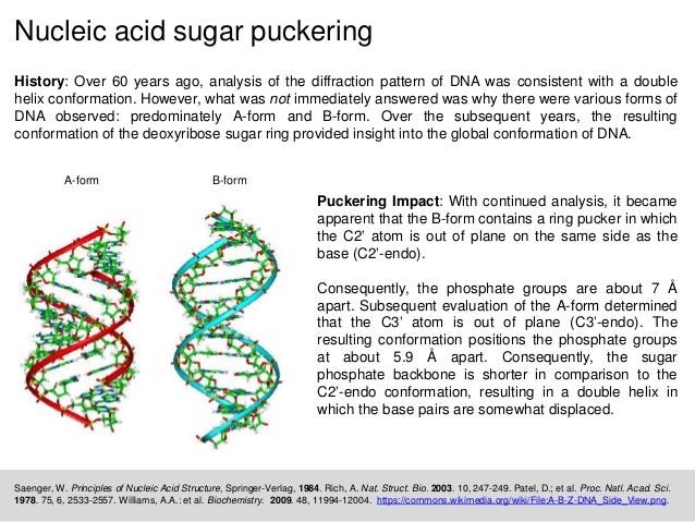 role of sugar nucleotides in biosynthesis pdf