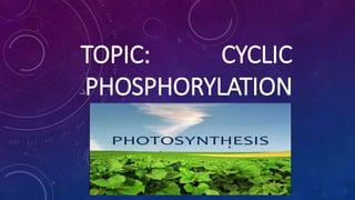 TOPIC: CYCLIC
PHOSPHORYLATION
 