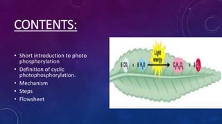 CONTENTS:
• Short introduction to photo
phosphorylation
• Definition of cyclic
photophosphorylation.
• Mechanism
• Steps
• Flowsheet
 