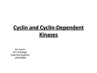 Cyclin and Cyclin-Dependent Kinases Mr. Hunter AP / IB Biology  Hyde Park Academy 12/07/2009 
